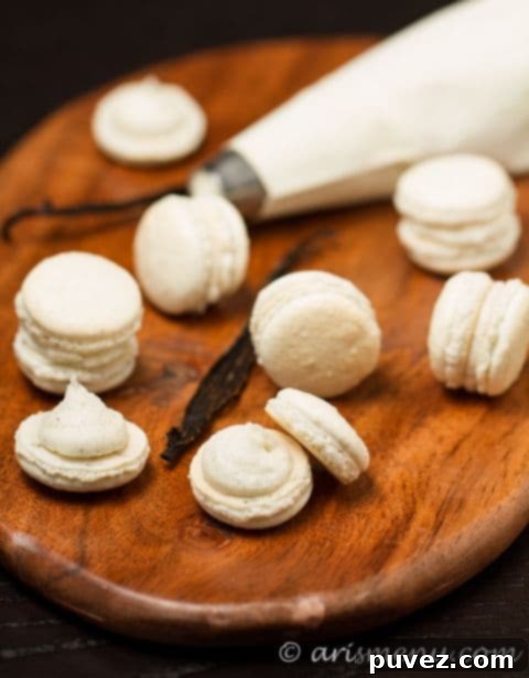 Vanilla Bean Cashew Macarons filled with a creamy center.