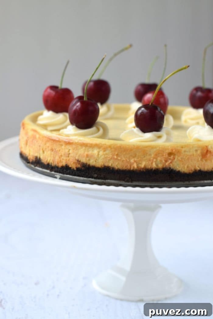 A slice of rich Vanilla Bean Cheesecake on a plate.