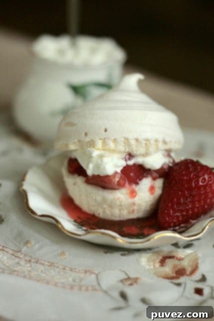 Vanilla Bean Meringue Cupcakes with strawberry rhubarb topping.