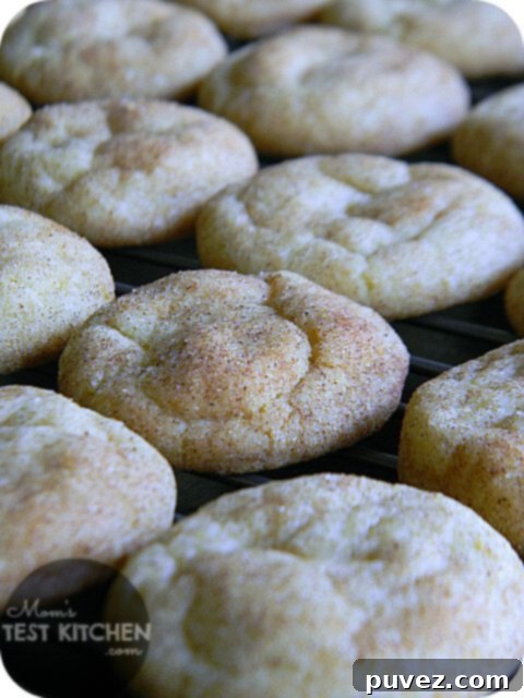 Vanilla Pudding Snickerdoodles dusted with cinnamon sugar.