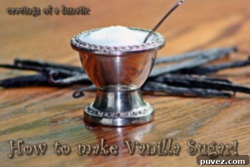 Homemade Vanilla Sugar in a jar with a vanilla bean.