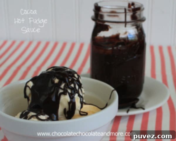 Ingredients for simple homemade hot fudge sauce, including cocoa and sugar
