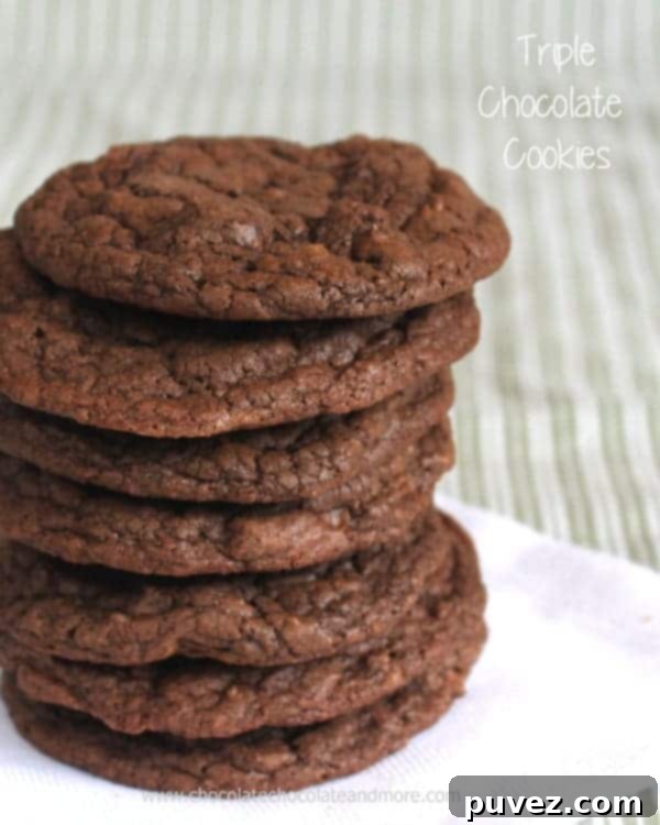 Decadent Triple Chocolate Cookies 2 Triple Chocolate Cookies #OXOGoodCookies