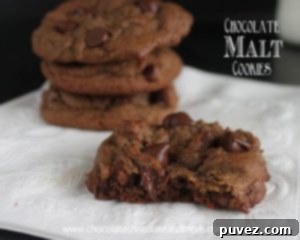 Chocolate Malt Cookies with Chocolate Chips - a delicious, chewy treat