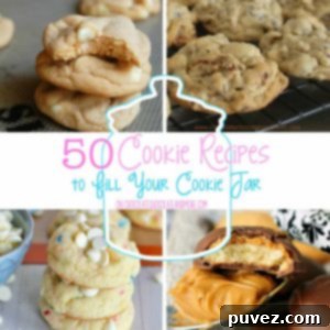 50 Cookies Recipes for your Cookie Jar - a collection of delicious cookie ideas