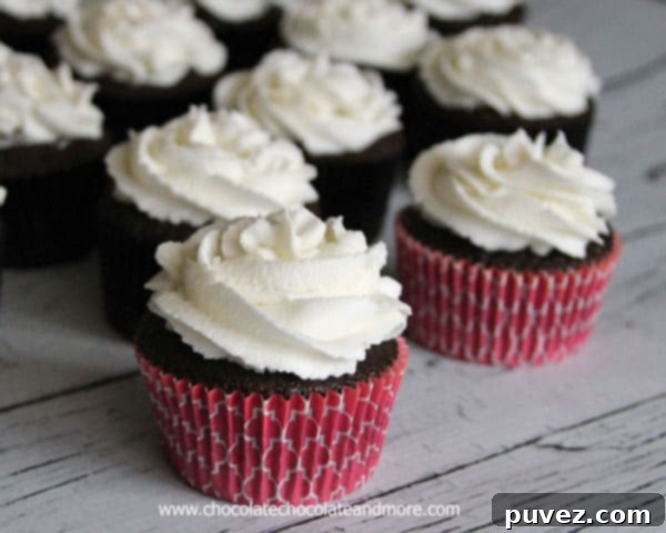 Special Dark Chocolate Cupcakes with White Buttercream Frosting