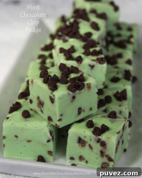 Mint Chocolate Chip Fudge: The same great taste you love as ice cream in a creamy melt-in-your-mouth fudge