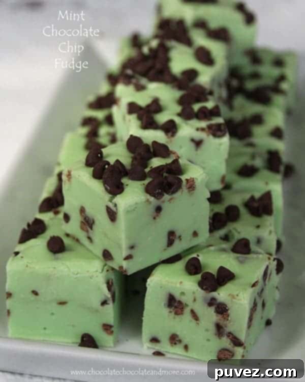 Mint Chocolate Chip Fudge
