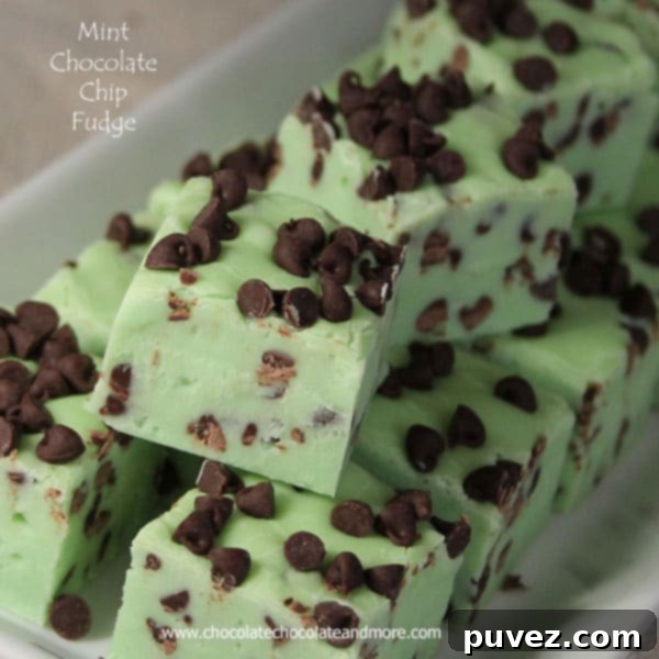 Mint Chocolate Chip Fudge: A close-up of the delicious, creamy texture