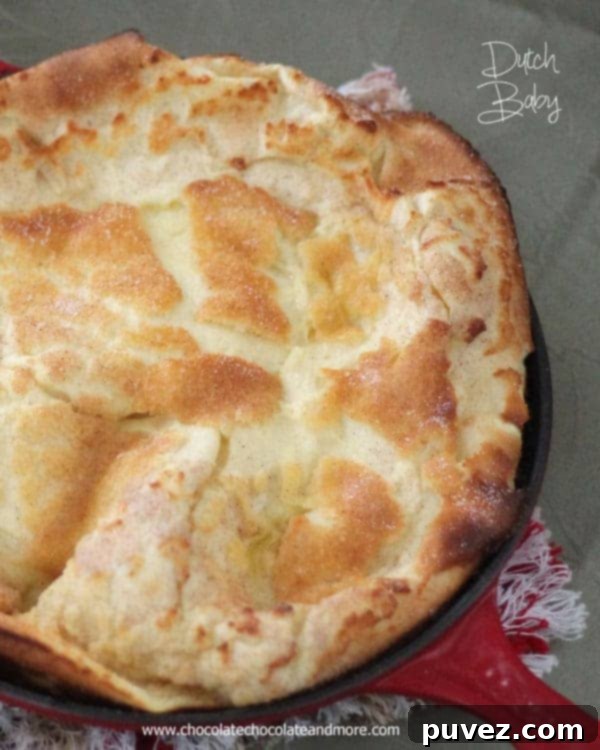 Our beloved Dutch Baby pancake recipe, showcasing a golden, airy breakfast classic.