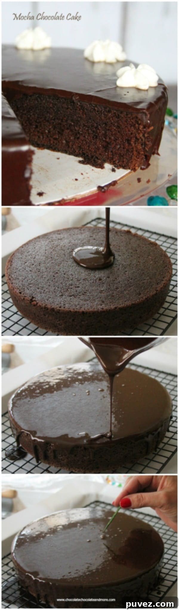 Fudgy Mocha Bliss 2 Mocha Fudge Cake with rich chocolate glaze