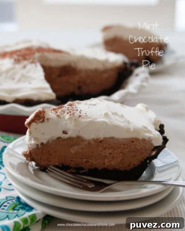 Mint Chocolate Truffle Pie topped with a generous swirl of whipped cream and chocolate garnishes.