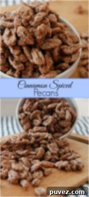 Cinnamon Spiced Pecans recipe branding