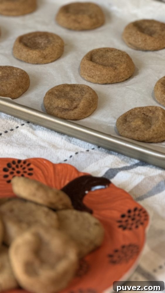 Pumpkin Spice Snickerdoodles Pumpkin Spice Snickerdoodles