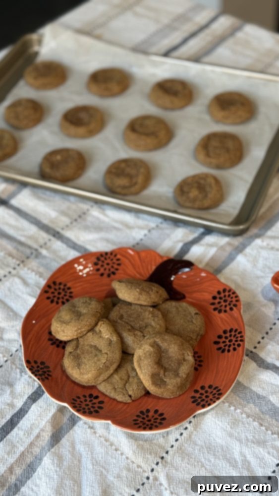 Pumpkin Spice Snickerdoodles Pumpkin Spice Snickerdoodles