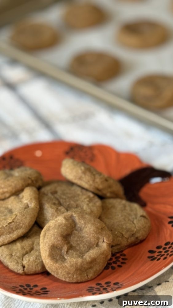 Pumpkin Spice Snickerdoodles Pumpkin Spice Snickerdoodles
